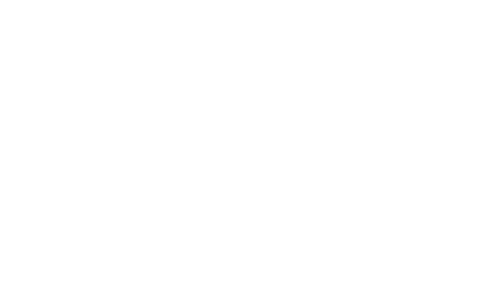 Zedunix Client | BGS Group Logo